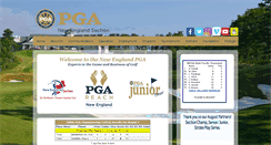 Desktop Screenshot of nepga.com